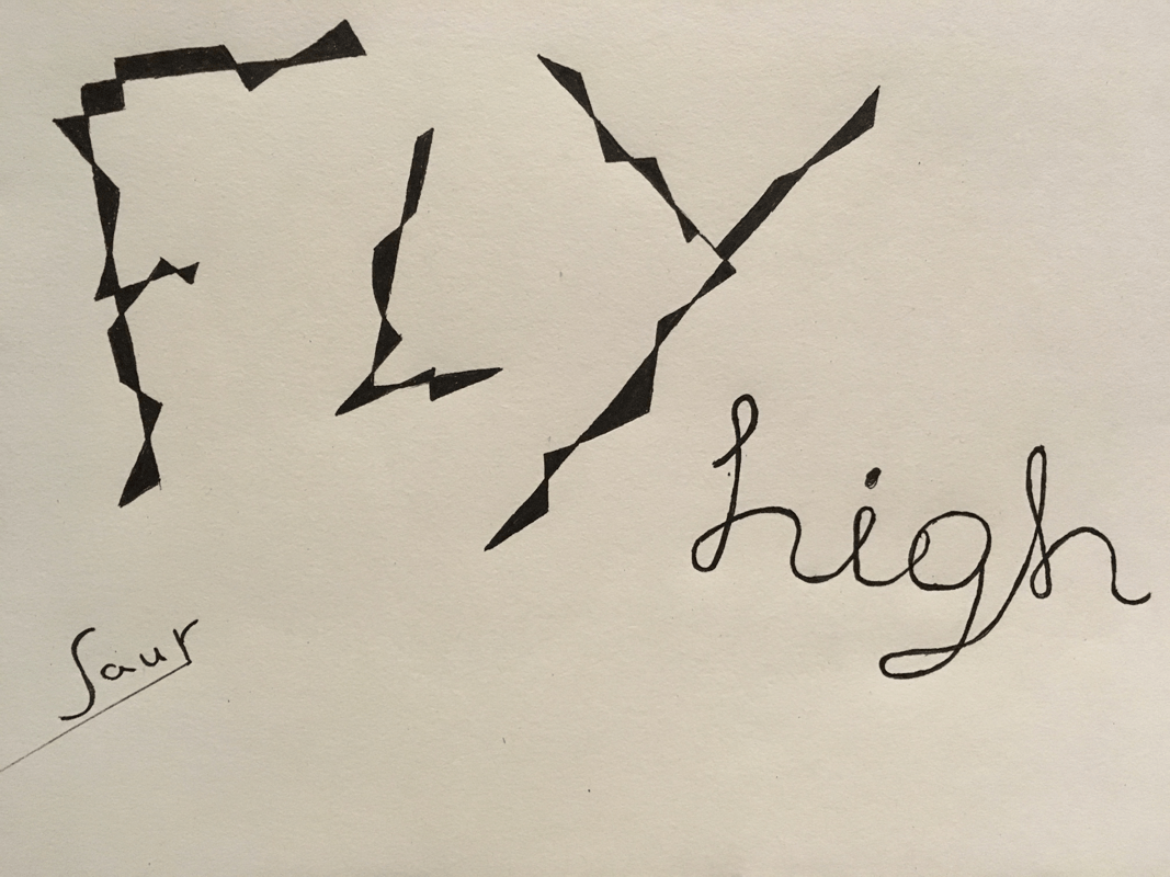 WEB - 9#HAT - Drawing - Fly high